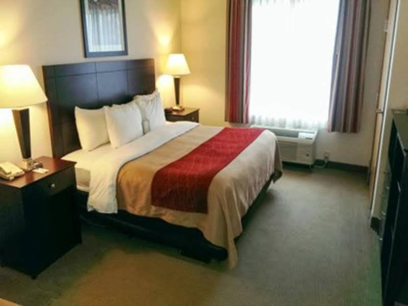 Comfort Inn&Suites Creswell Extérieur photo